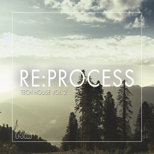 Re:Process - Tech House, Vol. 2