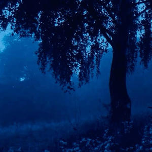 The End (feat. 999ines) (Explicit)