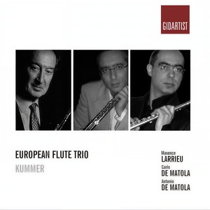 Flute Trio in G Major, Op. 24 - I. Allegro moderato