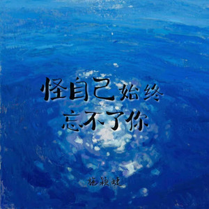 怪自己始终忘不了你