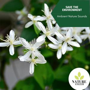 Save the Environment - Ambient Nature Sounds