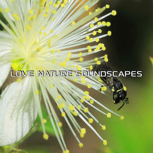 Stress Relief Nature Soundscapes (Nature Sounds Series Remix)