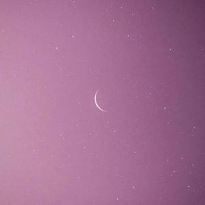 ALL-RANGE-ALL-RANGE樱花草 (Remix)