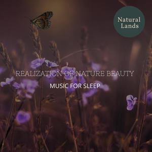 Realization of Nature Beauty - Music for Sleep