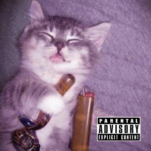 3,14+lean (Explicit)