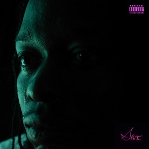 Stubborn Optimist (Explicit)