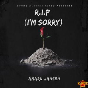 R.I.P (I'M SORRY) [Explicit]