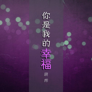 你是我的幸福 (伴奏)