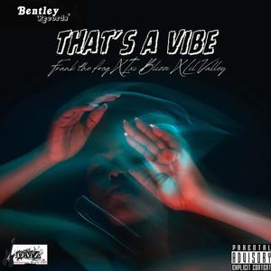 That's a Vibe (feat. iXi BlizZi & Lil Valley) [Explicit]