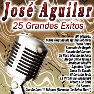 25 Grandes Canciones