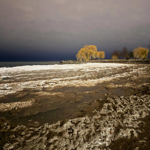 Drug abusing (Explicit)