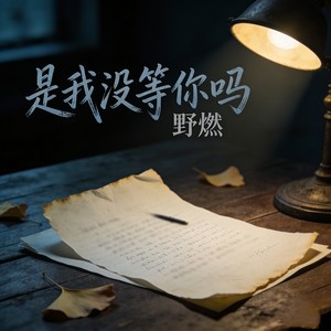 是我没等你吗
