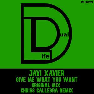 Give Me What You Want (Original Mix)