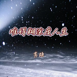 难得糊涂度人生DJ封面
