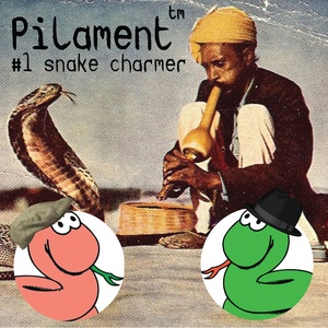 Snakecharmer