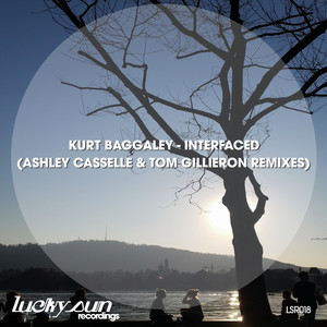 Interfaced (Ashley Casselle & Tom Gillieron Remixes)