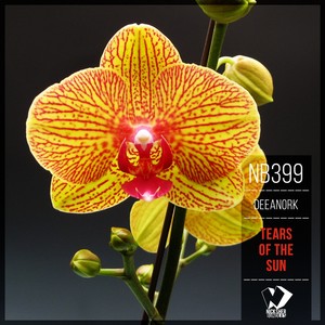 Tears of the Sun (Solid Machine Remix)