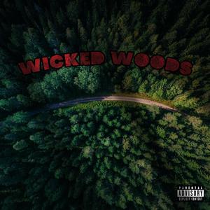 WICKED WOODS (feat. Wiicckk & Lil Fenda Versetti) [Explicit]