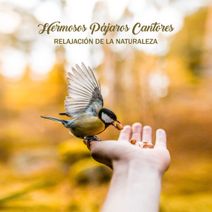 Hermosos Pájaros Cantores: Relajación de la Naturaleza - Sonidos Asombrosos para Descanso, Dormir, Calma, Meditación, Terapia Zen