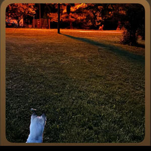 Missin Me (Explicit)