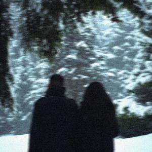 The Mistletoe (feat. Sharkify)