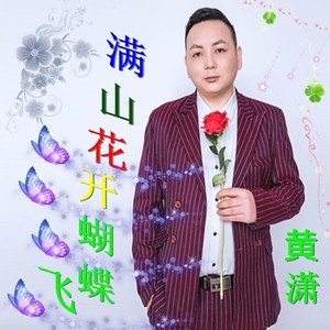 满山花开蝴蝶飞 - 黄潇封面