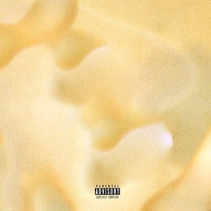 雑然Brain (Explicit)