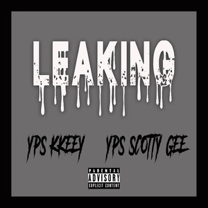 Leaking (Explicit)