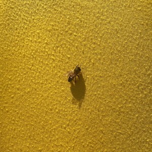 Feeling Alone and Empty