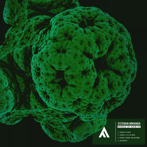 Echoes Of Rain (F.R.A.N Remix)