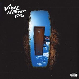 Vibes Never Die (feat. Mike Squires) (Explicit)
