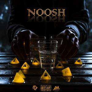 Noosh (feat. Parham Potki & Aemha) (Explicit)