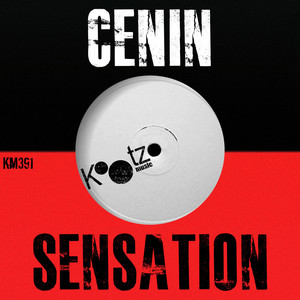 Funky Fly (Original Mix)