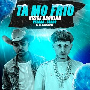 TA MO FRIO NESSE BAGULHO (GELADIN DE COBERTA) (PISEIRO)