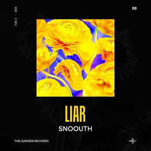 Liar (Radio Edit)