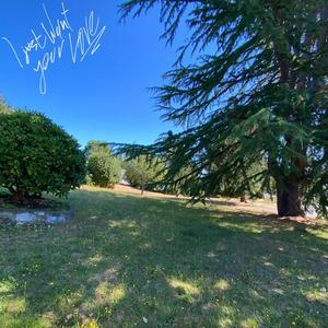 I just want your love (feat. Lil Seni) (Explicit)