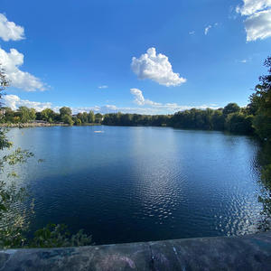 #FreestyleKing (Explicit)