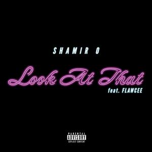 Look At That (feat. Flawcee) (Explicit)