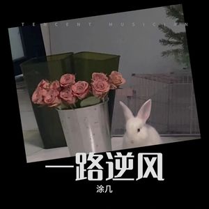 一路逆风封面