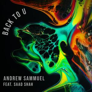 Back to U (feat. Saad Shah)