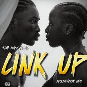 Link Up (feat. Freshyboy Mic)