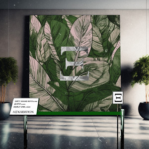 Early Owl (Extended Mix)