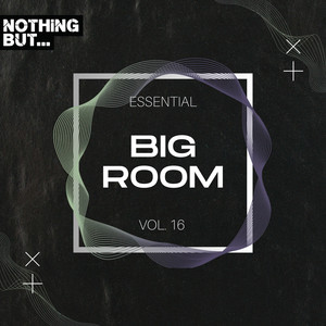 Nothing But... Essential Big Room, Vol. 16