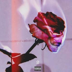 Potential (Explicit)