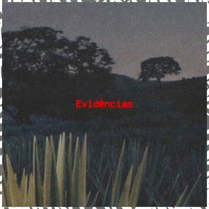 Evidências (Explicit)