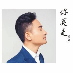 你莫走 (陕西话版)