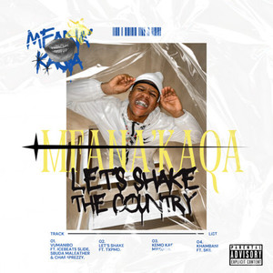 Let's Shake The Country (Explicit)