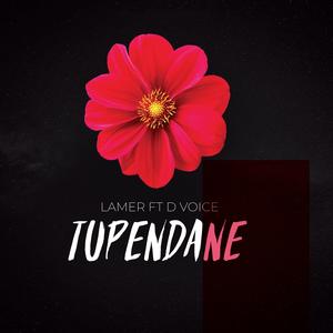 Tupendane (feat. D Voice)