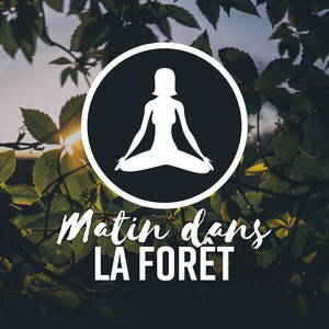 Matin dans la forêt - Nature relaxante pour une séance de yoga, Tai-chi, Sophrologie et méditation