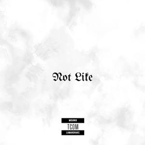Not Like (feat. Mounir & LAMARDRAKE) (Explicit)